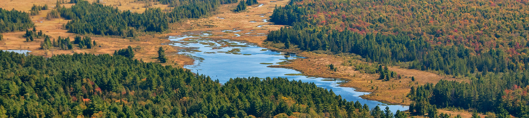 The History of Earth Day